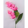 Branche fleurie décorative Medinilla LASENTER, rose, 110cm