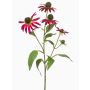 Rameau décoratif de rudbeckie MILROV, fuchsia, 75cm