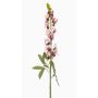 Fleur synthétique gueule-de-loup LIMORG, crème-fuchsia, 80cm