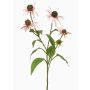 Rameau décoratif de rudbeckie MILROV, rose clair, 75cm