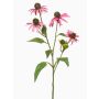 Rameau décoratif de rudbeckie MILROV, rose, 75cm