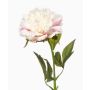 Pivoine synthétique GAVRON, blanc-rose, 55cm