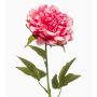 Pivoine synthétique GAVRON, rose, 55cm