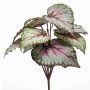 Plante artificielle: bégonia à feuilles BLAROM sur tige, crossdoor, gris-rose, 25cm