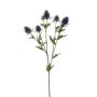 Fausse branche d'eryngium JESSAMINE, bleu, 70cm