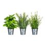 Mélange d'herbes artificielles en zinc DRILHO, basilic, romarin, thym, 3 pièces, pot, vert, 25cm, Ø16cm