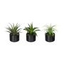 Arrangement de plantes succulentes artificielles FLUKE dans un pot en céramique, 3 pièces, vert, 15cm