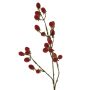 Rameau décoratif de mûre URUMA avec fruits, rouge, 90cm