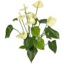 Anthurium synthétique NAKITA sur tige, crème, 50cm