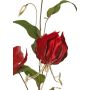 Branche de gloriosa en velours DINFAS, rouge foncé-doré, 80 cm