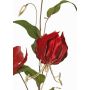 Branche de gloriosa en velours DINFAS, rouge foncé-or, 80cm