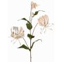 Branche de gloriosa en velours rose pâle-or DINFAS, 80cm