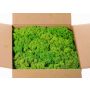 Mousse d'Islande naturelle vert pomme SVEINBJÖRN, 5kg