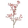 Rameau décoratif de rosier sauvage HIKERNO avec cynorrhodons, rouge, 60cm