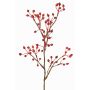 Rameau décoratif de rosier sauvage HIKERNO avec cynorrhodons, rouge, 60cm