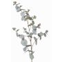 Branche décorative d'eucalyptus ILMO, gris-vert, 85cm