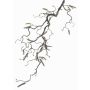 Branche de noisetier décorative XANCHO, brun, 65cm, Ø0,5cm