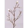 Branche décorative de magnolia ASANI, blanc, 70cm