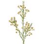 Rameau décoratif de fleur de cire FRINDALS, crème, 65cm, Ø1,5-2cm