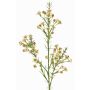 Rameau décoratif de fleur de cire FRINDALS, crème, 65cm, Ø1,5-2cm