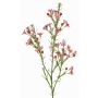 Rameau décoratif de fleur de cire FRINDALS, rose foncé, 65cm, Ø1,5-2cm
