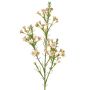 Rameau décoratif de fleur de cire FRINDALS, rose clair-blanc, 65cm, Ø1,5-2cm