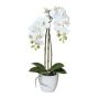 Orchidée Phalaenopsis artificielle LARKEN dans un pot en céramique, racines, blanche, 45 cm