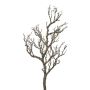 Branche de bouleau artificielle ZURKAN, brun, 80cm
