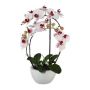 Orchidée Phalaenopsis artificielle INAKES, pot en céramique, racines, rose-blanc, 50cm