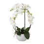 Orchidée Phalaenopsis artificielle INAKES, pot en céramique, racines, blanc, 50cm