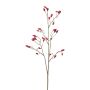 Branche décorative d'églantier ZORLEN avec des cynorrhodons, rouge, 90cm