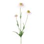 Branche artificielle Rudbeckia KAELY, rose clair, 65cm