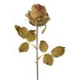 Fleur décorative Rose GROLK, aspect sec, vert-brun, 45cm, Ø6cm