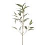 Branche d'eucalyptus artificielle JURKA avec des fruits, vert-gris, 90cm