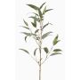Branche d'eucalyptus artificielle JURKA avec des fruits, vert-gris, 90cm