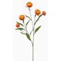 Rameau décoratif de fleur de paille SNAVIK, orange, 70cm