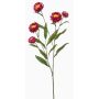Rameau décoratif de fleur de paille SNAVIK, fuchsia, 70cm
