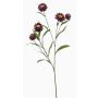 Rameau décoratif de fleur de paille SNAVIK, lilas, 70cm