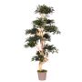 Arbre artificiel Érable du Japon SLAWIK, tronc en bois véritable, vert, 185cm - Made in Italy