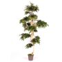 Arbre artificiel Erable du Japon AFANAS, tronc naturel, vert-rouge, 250cm - Made in Italy