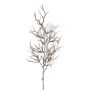 Branche décorative Épine du Christ ZOLMER, givré, blanc-brun, 70cm