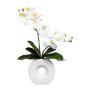 Orchidée Phalaenopsis décorative DRELMOR, vase en céramique, racines, blanc, 35cm