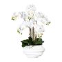 Orchidée Phalaenopsis en tissu ZALBROK, vase décoratif blanc, racines, blanc, 75cm