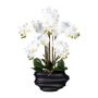 Orchidée Phalaenopsis en tissu ZALBROK, vase décoratif noir, racines, blanc, 75cm