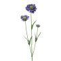 Branche artificielle Scabiosa ATLENTO, violet, 65cm