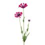 Branche artificielle Marguerite NIELAY, rouge bourgogne, 65cm