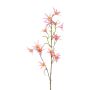 Branche décorative Tweedia solanoides ZORHIL, rose métallisé, 75cm