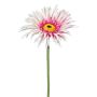 Fleur artificielle Gerbera FELISY, rose-blanc, 65cm