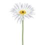 Fleur artificielle Gerbera FELISY, blanc, 65cm
