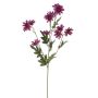 Marguerite en velours FENAS, violet, 65cm